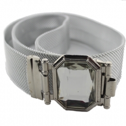 Metalic strap belt with large crystal buckle