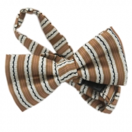 Rust, white and black striped bow tie