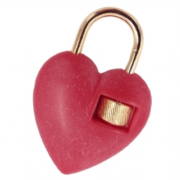 Fuxia heart keyring with golden locker