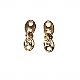Long golden earrings with oval shape