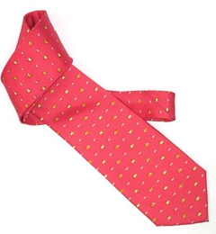 Coral tie with small fishes