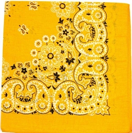 Classic Paisley print American bandana