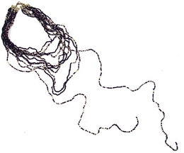 Long multirow necklace with small beads 