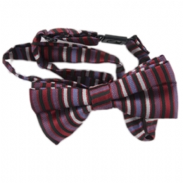 Παπιγιόν με μαύρες, μπορντό και γαλάζιες ρίγες