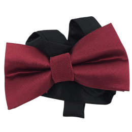 Μπορντό μονόχρωμο παιδικό υφασμάτινο παπιγιόν